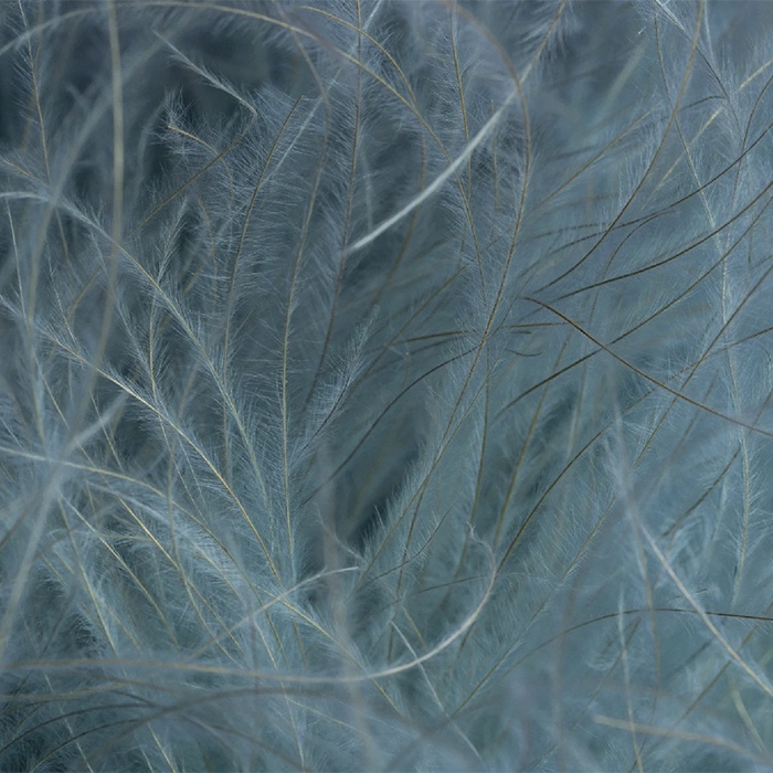 Close-up of Fevvers plant-based material, showcasing the delicate, layered structure that mimics natural feather movement without harming any birds.