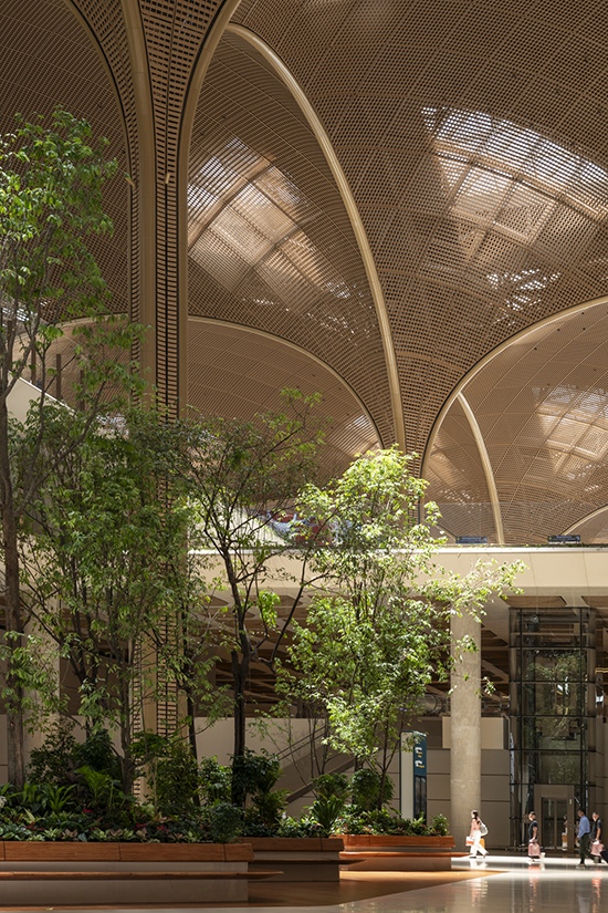 Detail of the latticed soffit and native planting within the soaring central space. The basket-weaving-inspired ceiling filters natural light while native Romduol trees create a biophilic environment, establishing a strong sense of place and passenger wellbeing.