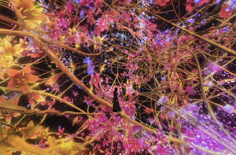 teamLab, Traces of Life, 2025, from the series Trails of Life - Transcending Space in All Directions, 2022-, Interactive Installation, Sound: Hideaki Takahashi © teamLab, courtesy Pace Gallery