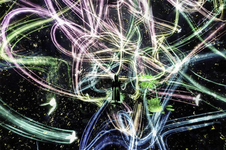 teamLab, Crows are Chased and the Chasing Crows are Destined to be Chased as well, 2025, from the series Crows are Chased and the Chasing Crows are Destined to be Chased as Well, 2013-, Interactive Installation, Sound: Hideaki Takahashi © teamLab, courtesy Pace Gallery