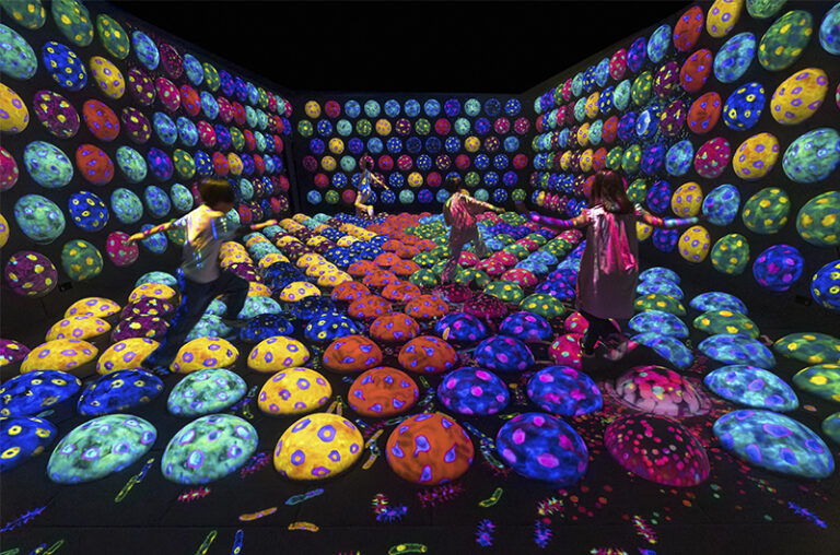 teamLab, Rapidly Rotating Bouncing Spheres in the Caterpillar House, 2020-, Interactive Installation, Sound: teamLab © teamLab, courtesy Pace Gallery