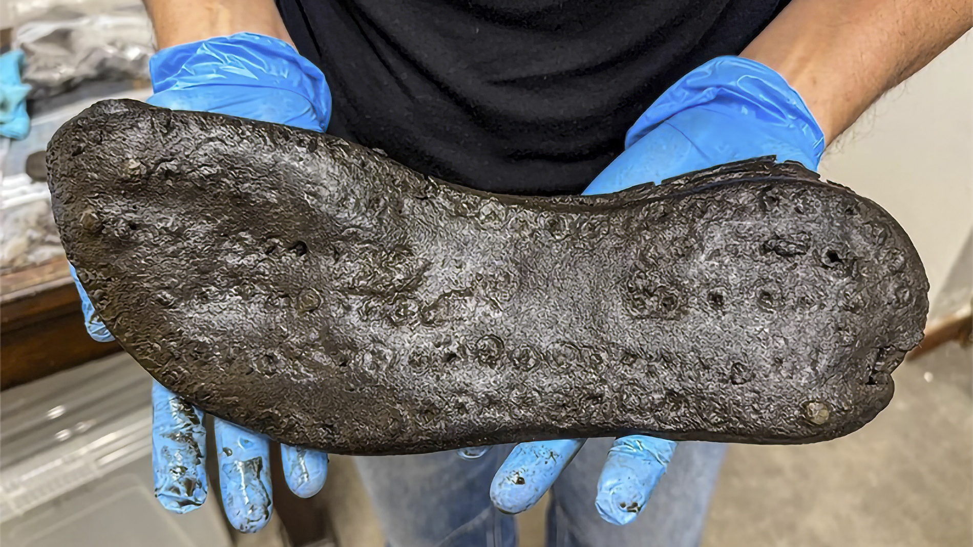 A leather sole measuring approximately 12.8 inches (32.6 cm) in length represents the largest specimen discovered at Magna Fort