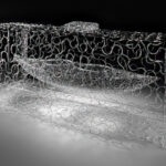 Brent Kee Young, Glass artist, USA