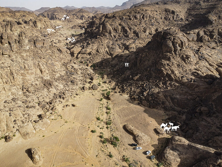 Shows a drone photo of the rock art at Jebel Arnaan, with icons indicating the locations of panels along a path up the mountain by Dr. Maria Guagnin, Archeologist, UK