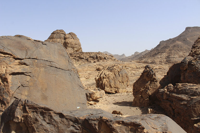 An untraced image of an engraving showing a wild equid, with the surrounding landscapeI