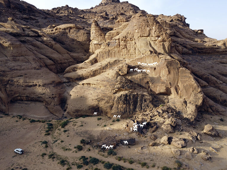 Drone photo of Jebel Misma, with icons indicating the locations of life-sized engravings,