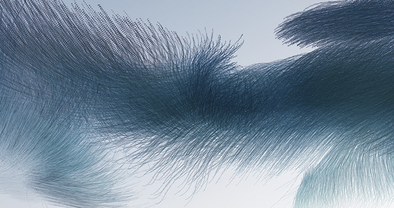 Ornithography #228, Sturnus vulgaris, Common Starling, Roses, Catalonia, 2022 by Xavi Bou, Photographer, Spain