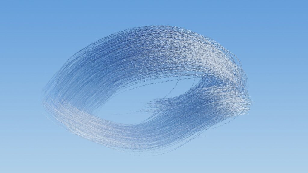 Ornithography #257, Columba livia , Race pigeons, San Ramon, Catalonia, 2023 by Xavi Bou, Photographer, Spain