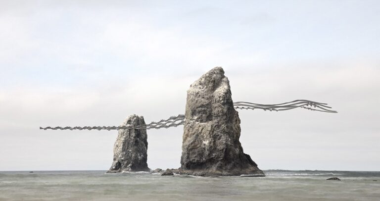 Ornithography #305, Pelecanus occidentalis, Brown Pelican, Canon Beach, Oregon, 2024 by Xavi Bou, Photographer, Spain