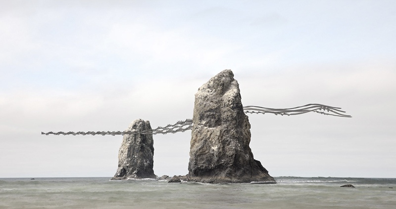 Ornithography #305, Pelecanus occidentalis, Brown Pelican, Canon Beach, Oregon, 2024 by Xavi Bou, Photographer, Spain