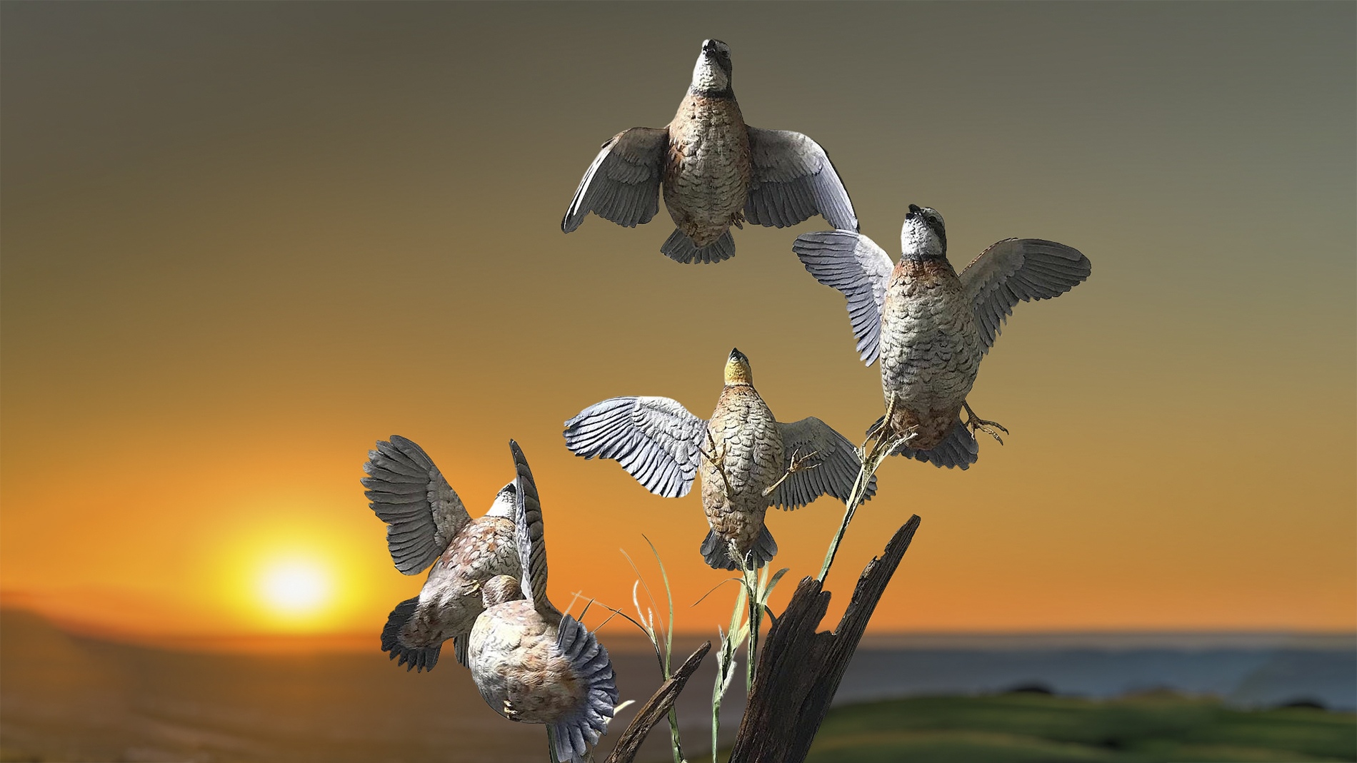 “Breathtaking Burst” by Chris Wilson, Wood sculptor, USA