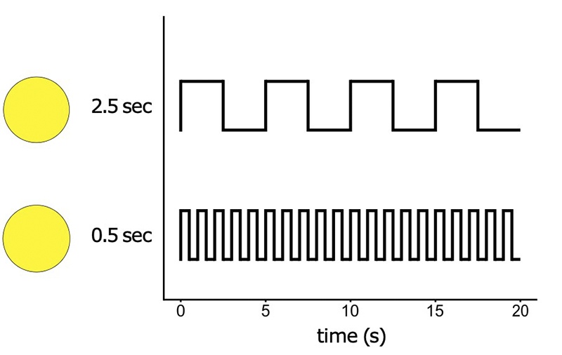 Experimental stimuli showing two flashing patterns bees learned to distinguish: long pulses (2.5 sec, top) versus short pulses (0.5 sec, bottom). Both deliver equal total light over 5 seconds, ensuring discrimination is based purely on temporal duration rather than brightness.