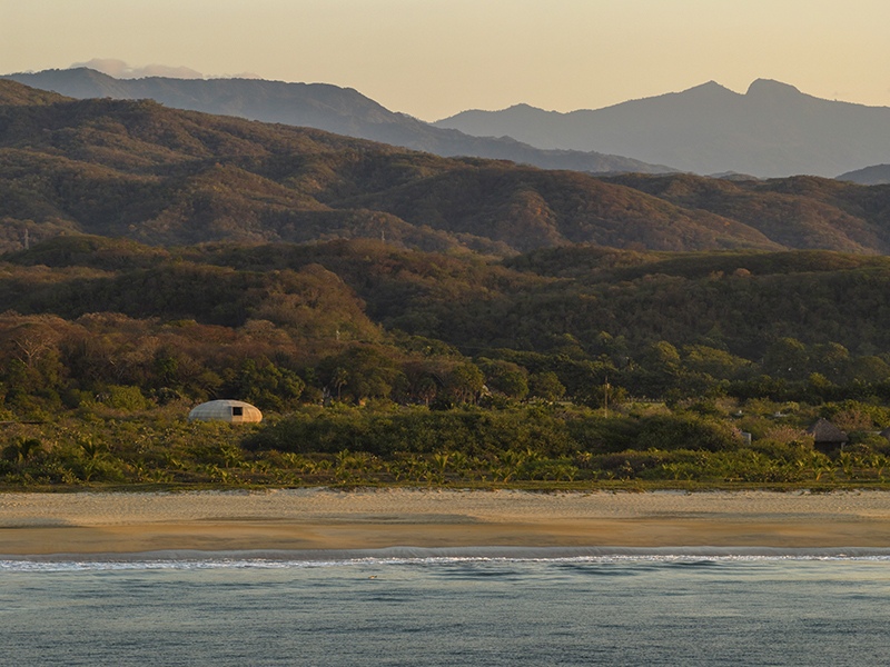 The Mushroom Pavilion emerging from the coastal vegetation of Oaxaca