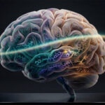 Light orbits a brain made transparent, and what it finds inside is not darkness but chemistry. Each region glowing in its own frequency, each molecule leaving its signature in the color of scattered light.