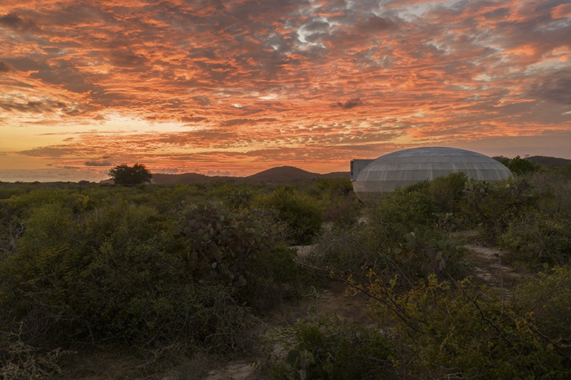 The Mushroom Pavilion beneath a dramatic red and orange sunset sky in Oaxaca