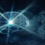 Light enters. The brain gives back its secrets in color — not the colors of anatomy, but of chemistry itself, molecular and unasked.