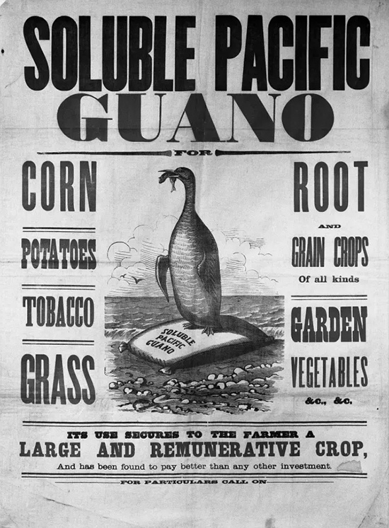 19th century advertisement for Soluble Pacific Guano