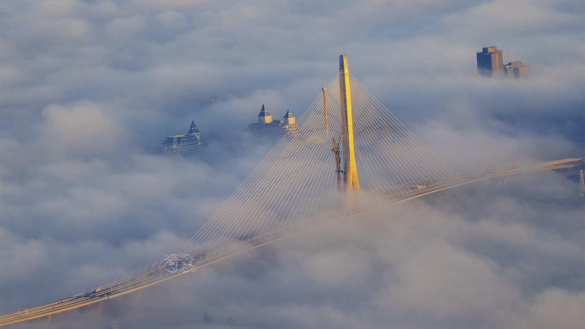 Danjiang Bridge, designed by Zaha Hadid Architects, emerges from a rare ground-hugging advection fog over the Tamsui River estuary, March 18, 2026.