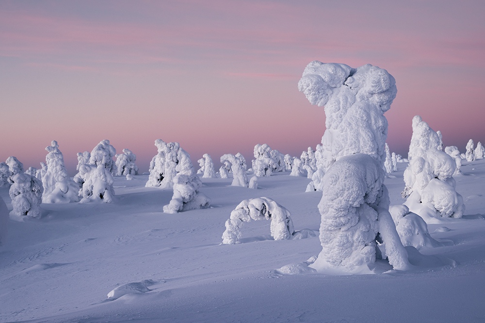 Riisitunturi National Park in Finnish Lapland