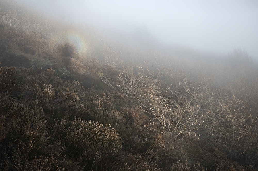Hillside fog with Brocken spectre in Beigua Geopark