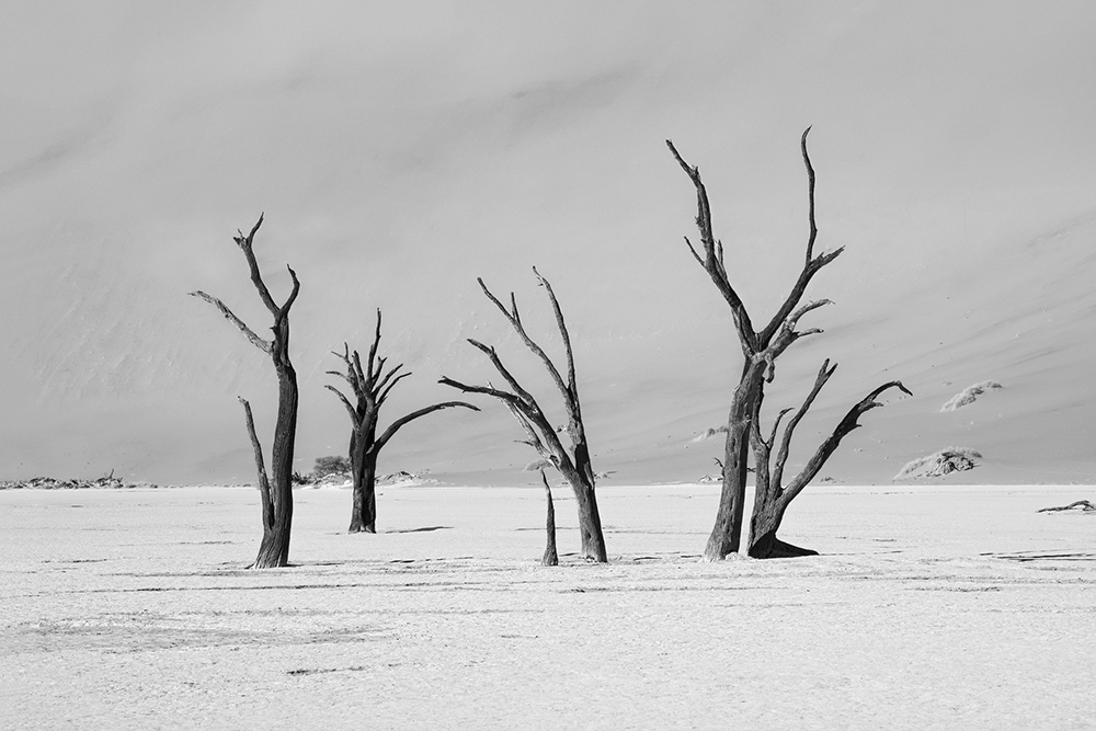 Deadvlei in Namibia