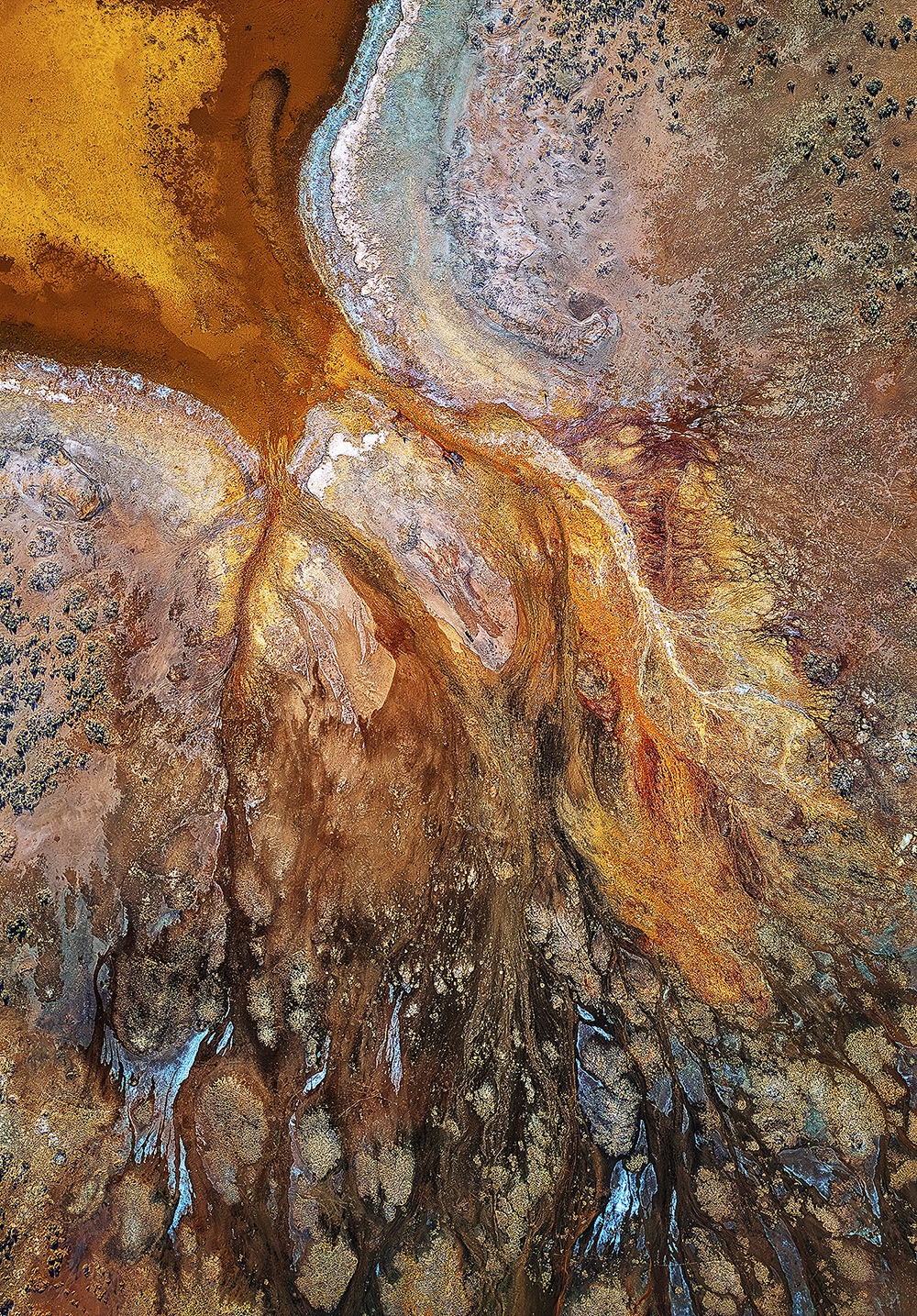 Aerial landscape by Nilmini De Silva