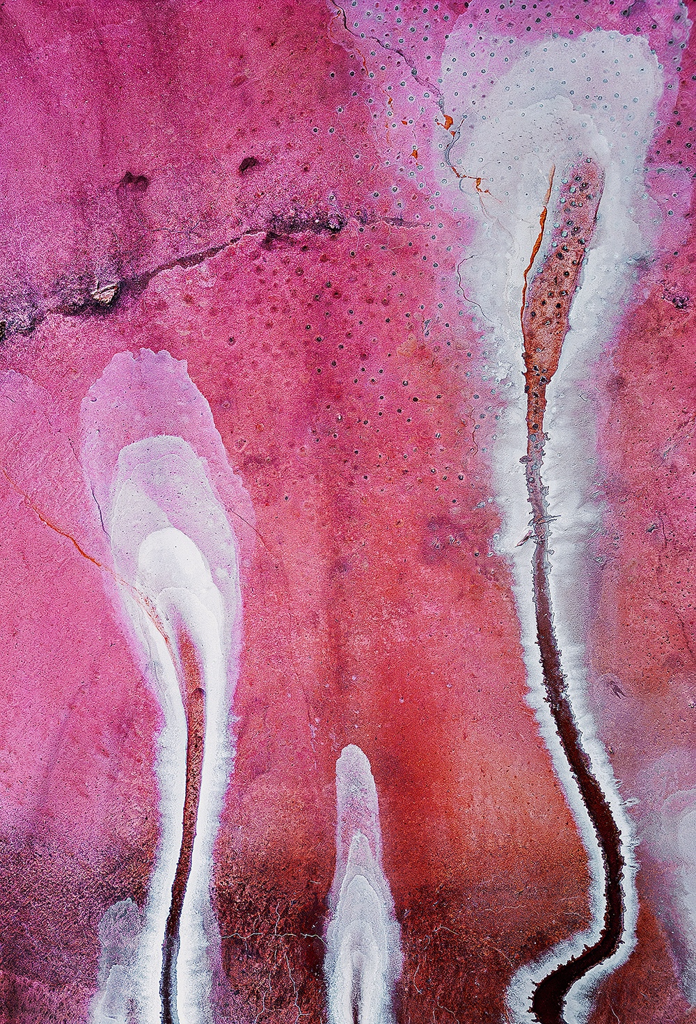Colourful Gathering, Mallee Region