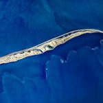 Kangaroo Tail, Kati Thanda-Lake Eyre, South Australia, 2025