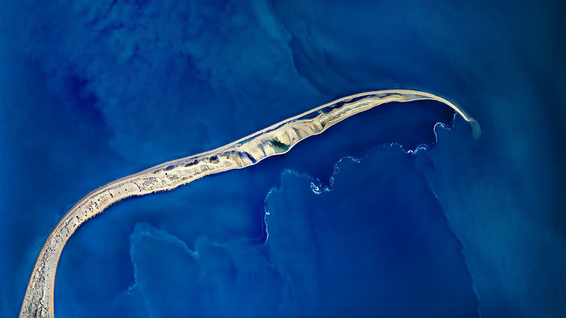Kangaroo Tail, Kati Thanda-Lake Eyre, South Australia, 2025