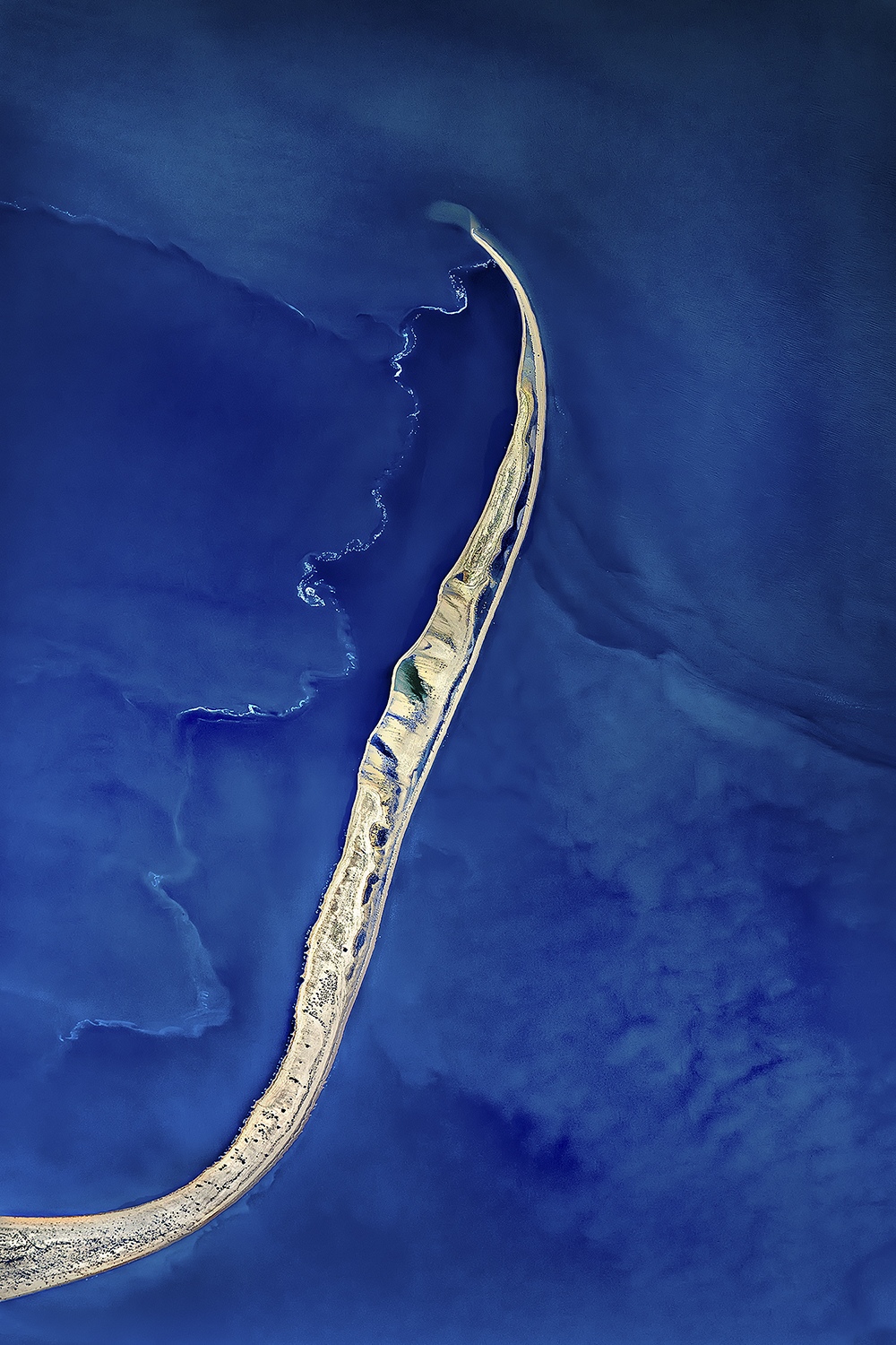 Kangaroo Tail, Kati Thanda-Lake Eyre