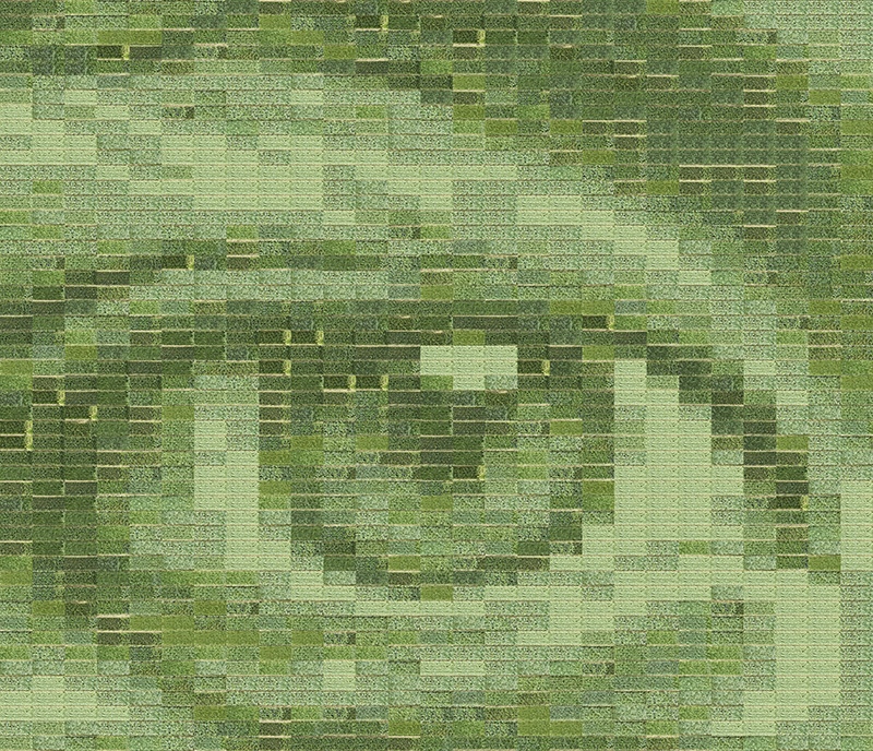 Simulation of Farming Photographs artwork appearance
