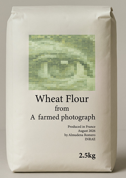Simulation of flour packaging