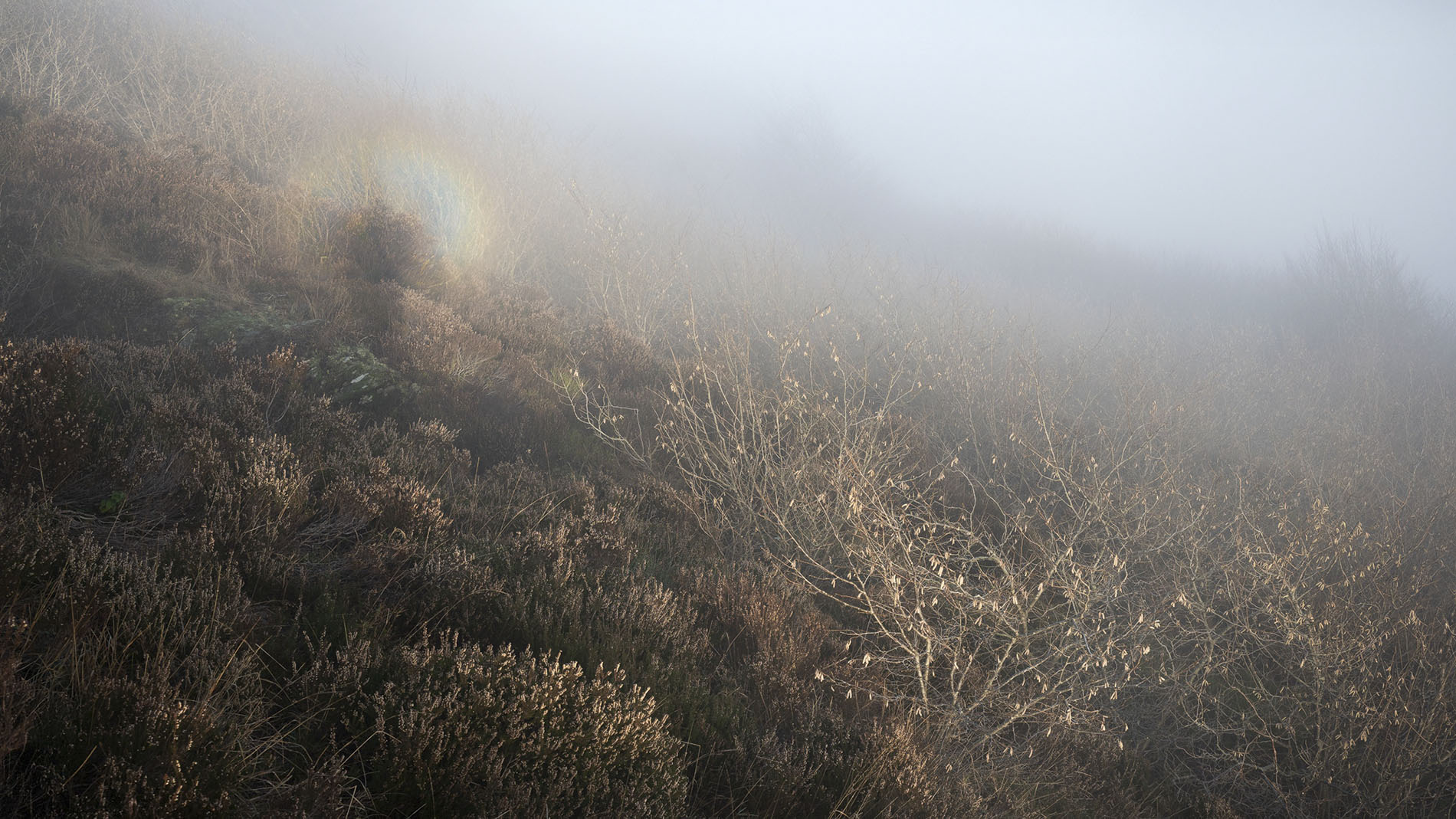 Hillside fog with fogbow, Beigua