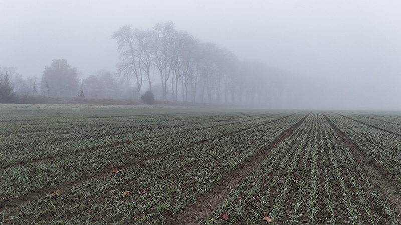 The field after sowing for Farming Photographs