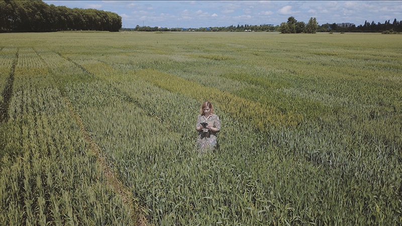 Almudena Romero in the field