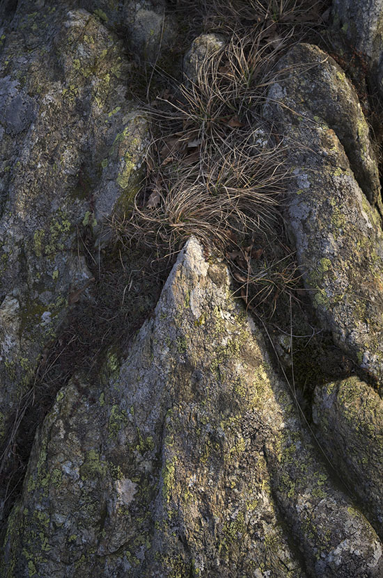 Ophiolite rock face with lichen and dried grass, Beigua