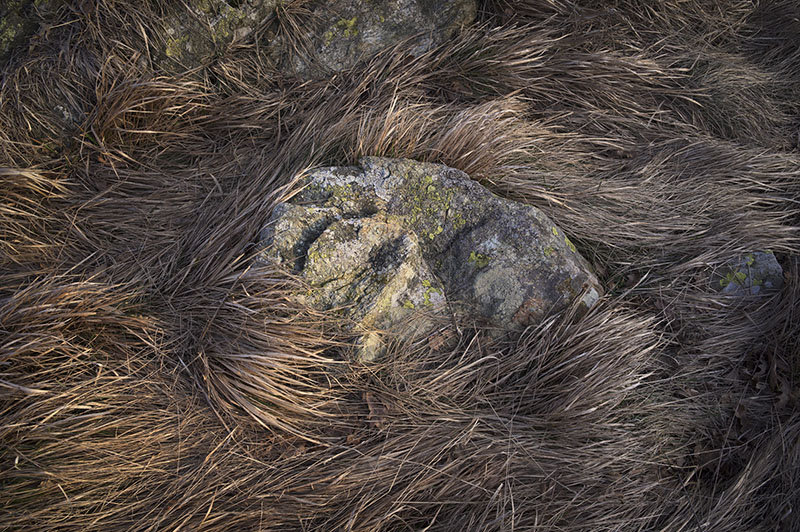Stone cradled in winter grass, Beigua