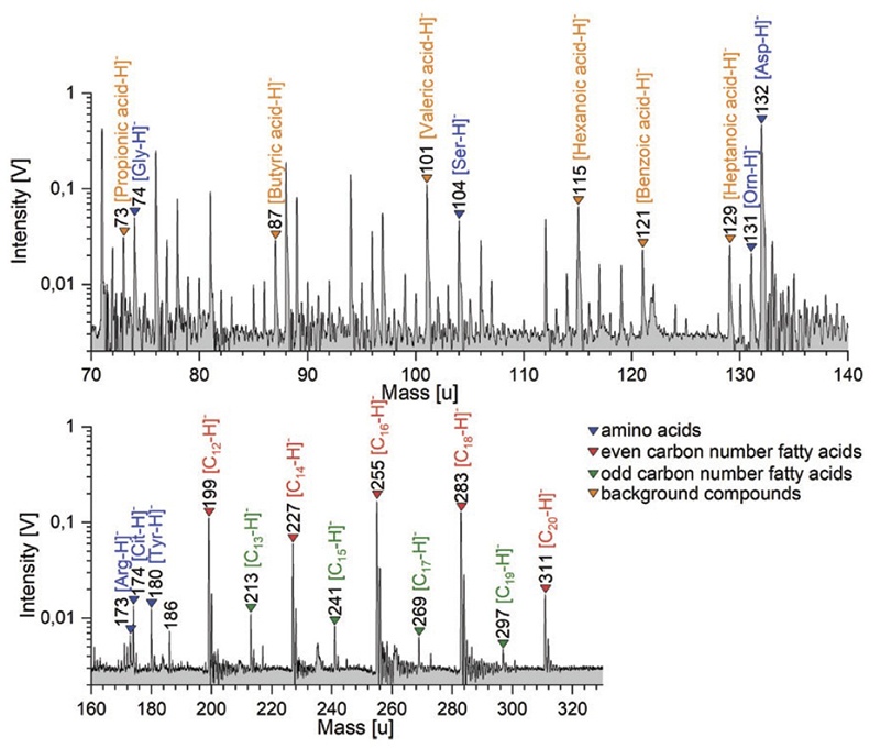 Simulated mass spectrum showing amino acids and fatty acids