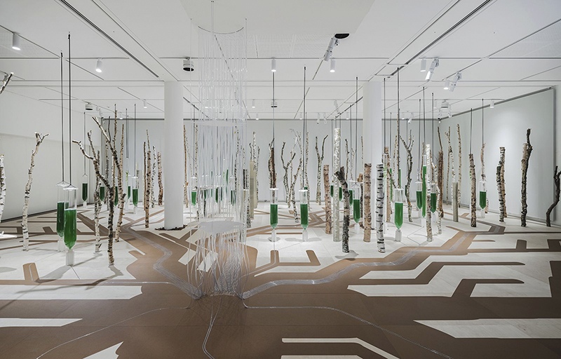 Deep.Forest installation