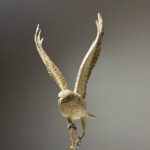 Osprey sculpture in progress, depicting an osprey returning with a freshly caught fish.