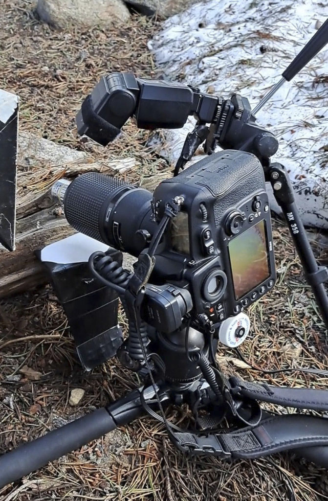 Complete field setup for high-magnification slime mold photography