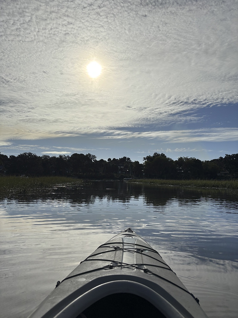 A quiet moment on the water during an osprey research trip