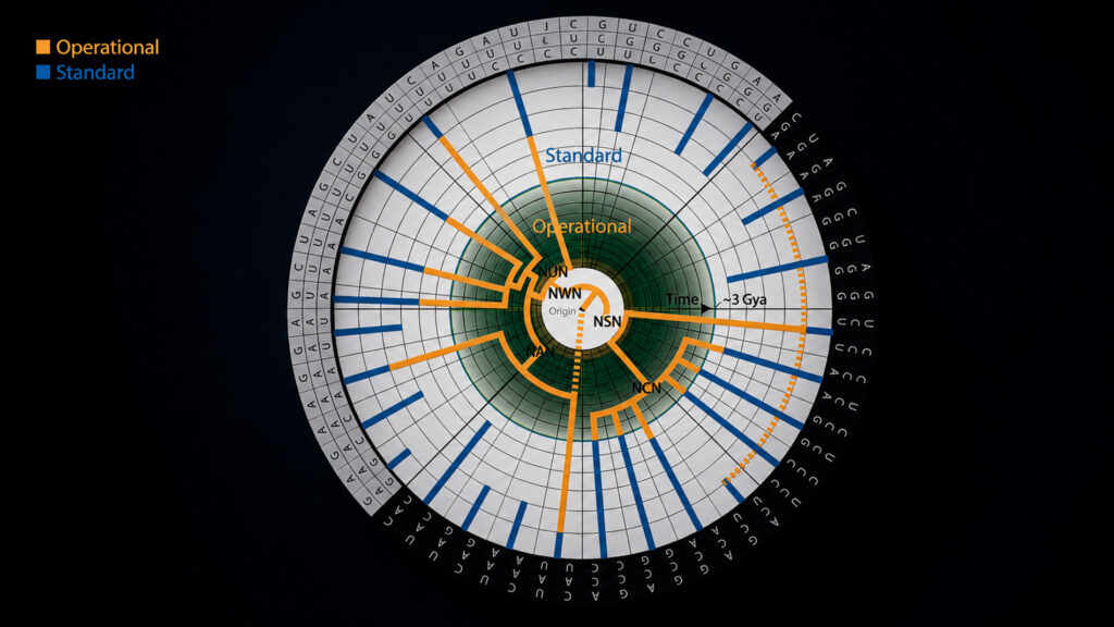 The genetic code mapped as a spiral through time, showing how the system of codons and amino acids expanded outward from a single ancient origin. Orange traces the older operational code; blue traces the standard code that followed.