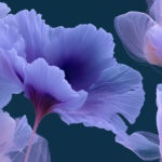 Digital Sublime: Residual Bloom. Yeonjeong Jang
