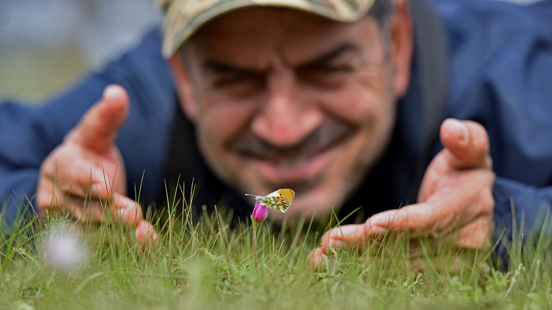 Hasan Baglar looking closely at an Orange Tip butterfly resting on a wildflower in Nicosia, Cyprus